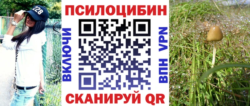 Галлюциногенные грибы мухоморы  купить наркоту  Мытищи 
